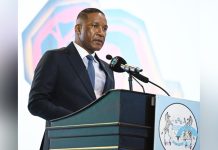 New Strategic Minerals Enter Fold New Strategic Minerals Enter Fold