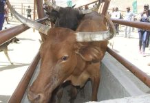 Farmers Call for Expansion of Services Farmers Call for Expansion of Services