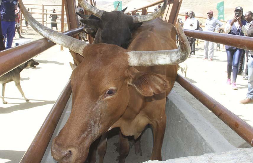 Farmers Call for Expansion of Services Farmers Call for Expansion of Services