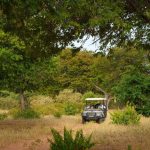 Chobe Game Lodge Advances Electric Safari Tourism Chobe Game Lodge Advances Electric Safari Tourism