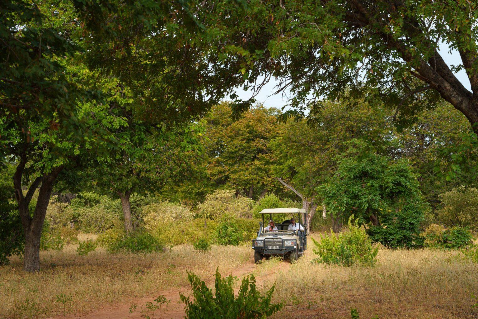Chobe Game Lodge Advances Electric Safari Tourism Chobe Game Lodge Advances Electric Safari Tourism