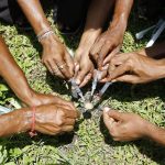 Illicit Drugs Ticking Time Bomb- Butale Illicit Drugs Ticking Time Bomb- Butale