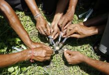 Illicit Drugs Ticking Time Bomb- Butale Illicit Drugs Ticking Time Bomb- Butale