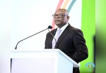 Act Guides Board Members Appointment – Mmolotsi Act Guides Board Members Appointment - Mmolotsi