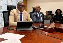 Botswana Outlines New Digital Priorities under Minister Tshere Botswana Outlines New Digital Priorities under Minister Tshere