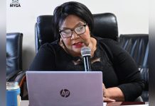 MYGA Involves Youth in GBV Legislation Development MYGA Involves Youth in GBV Legislation Development