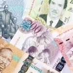 Currency Exchange Risks in Botswana’S SADC Trade Currency Exchange Risks in Botswana’S SADC Trade