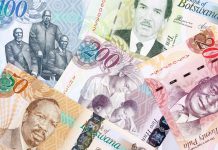 Currency Exchange Risks in Botswana’S SADC Trade Currency Exchange Risks in Botswana’S SADC Trade