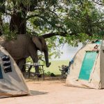 Sustainable Tourism Certifications for Botswana Businesses Sustainable Tourism Certifications for Botswana Businesses