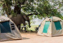 Sustainable Tourism Certifications for Botswana Businesses Sustainable Tourism Certifications for Botswana Businesses