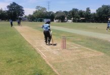 Ntesang Takes Charge of Botswana Cricket Ntesang Takes Charge of Botswana Cricket