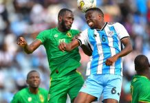 Zebras Rally for Continental Football Respect Zebras Rally for Continental Football Respect