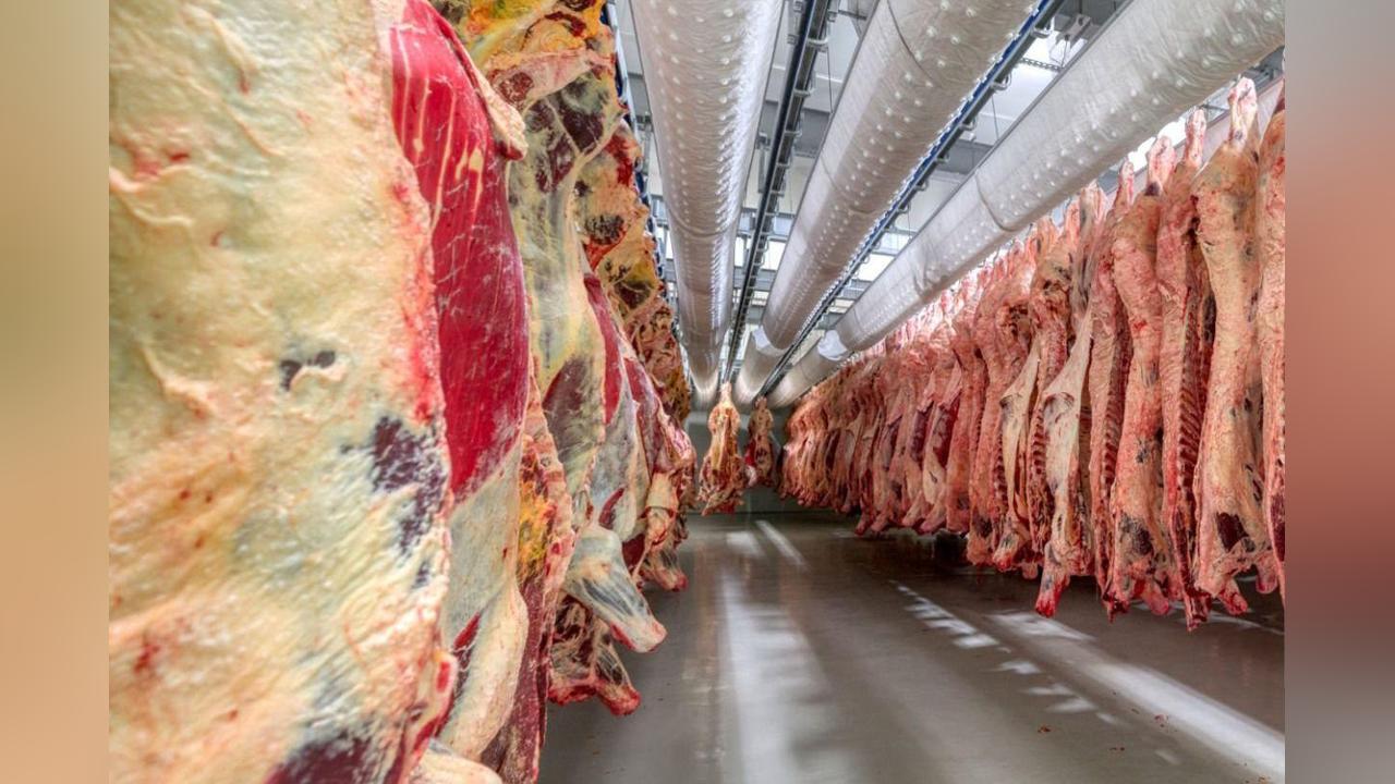 Botswana’S Beef Production Exceeds Domestic Demand Botswana’S Beef Production Exceeds Domestic Demand