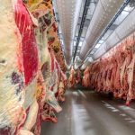 Botswana’S Beef Production Exceeds Domestic Demand Botswana’S Beef Production Exceeds Domestic Demand