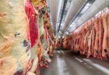 Botswana’S Beef Production Exceeds Domestic Demand Botswana’S Beef Production Exceeds Domestic Demand