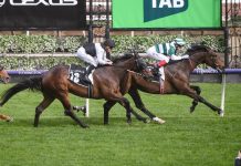 Silver Sky Wins Premier Cup Race Silver Sky Wins Premier Cup Race