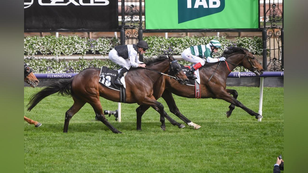 Silver Sky Wins Premier Cup Race Silver Sky Wins Premier Cup Race