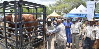 Botswana on High Alert as SA Reports FMD Outbreak Botswana on High Alert as SA Reports FMD Outbreak