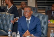 Police Make Progress in Stock Theft Fight Police Make Progress in Stock Theft Fight