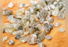 Botswana Economy Projected to Shrink Nearly 1% in 2025 Botswana Economy Projected to Shrink Nearly 1% in 2025