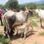 Migration to BAITS3 Ongoing Migration to BAITS3 Ongoing