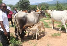 Migration to BAITS3 Ongoing Migration to BAITS3 Ongoing