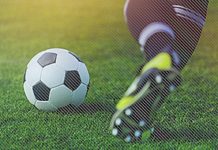 Zebras Training Camp Success Zebras Training Camp Success