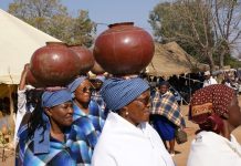 Trapped Phane Harvesters Rescued Trapped Phane Harvesters Rescued