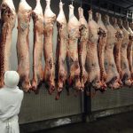 Where’S the Beef? Where’S the Beef?