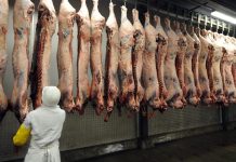 Where’S the Beef? Where’S the Beef?