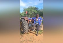 Farmer Decries Phane Harvesters Influx Farmer Decries Phane Harvesters Influx