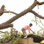 Assessment on Damaged Houses Ongoing Assessment on Damaged Houses Ongoing