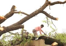 Assessment on Damaged Houses Ongoing Assessment on Damaged Houses Ongoing