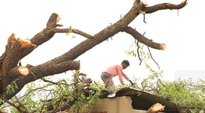 Assessment on Damaged Houses Ongoing Assessment on Damaged Houses Ongoing