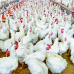 Farmers Call for Government Assistance Farmers Call for Government Assistance