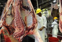 Bmc’S FMD Contingency Plans Bmc’S FMD Contingency Plans