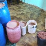 How Traditional Beer Brewed Botswana’S Livelihoods How Traditional Beer Brewed Botswana’S Livelihoods