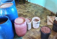 How Traditional Beer Brewed Botswana’S Livelihoods How Traditional Beer Brewed Botswana’S Livelihoods