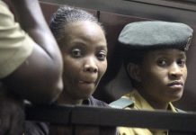 Butterfly’S Lawyer Shocked by State Claims Butterfly’S Lawyer Shocked by State Claims