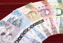 Botswana Eyes 2026 Recovery after Two Years of Negative Growths Botswana Eyes 2026 Recovery after Two Years of Negative Growths