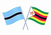 Zimbabweans Top Work Permit List in Botswana Zimbabweans Top Work Permit List in Botswana