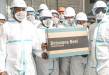 FMD Threatens Bmc’S Financial U-Turn FMD Threatens Bmc’S Financial U-Turn