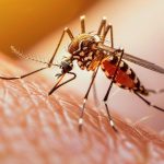 Malaria Claims Life as Cases Rise Malaria Claims Life as Cases Rise