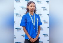 Jade from Goshwe to the World Jade from Goshwe to the World