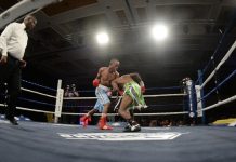 Best of the Best Boxing Tournament Returns Best of the Best Boxing Tournament Returns