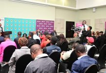 Chobe Connect Targets Regional Investment Chobe Connect Targets Regional Investment