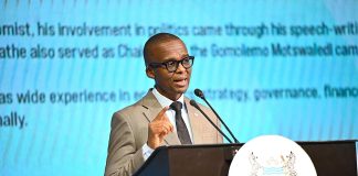 Botswana Reforms Tax System for Economic Stability Botswana Reforms Tax System for Economic Stability