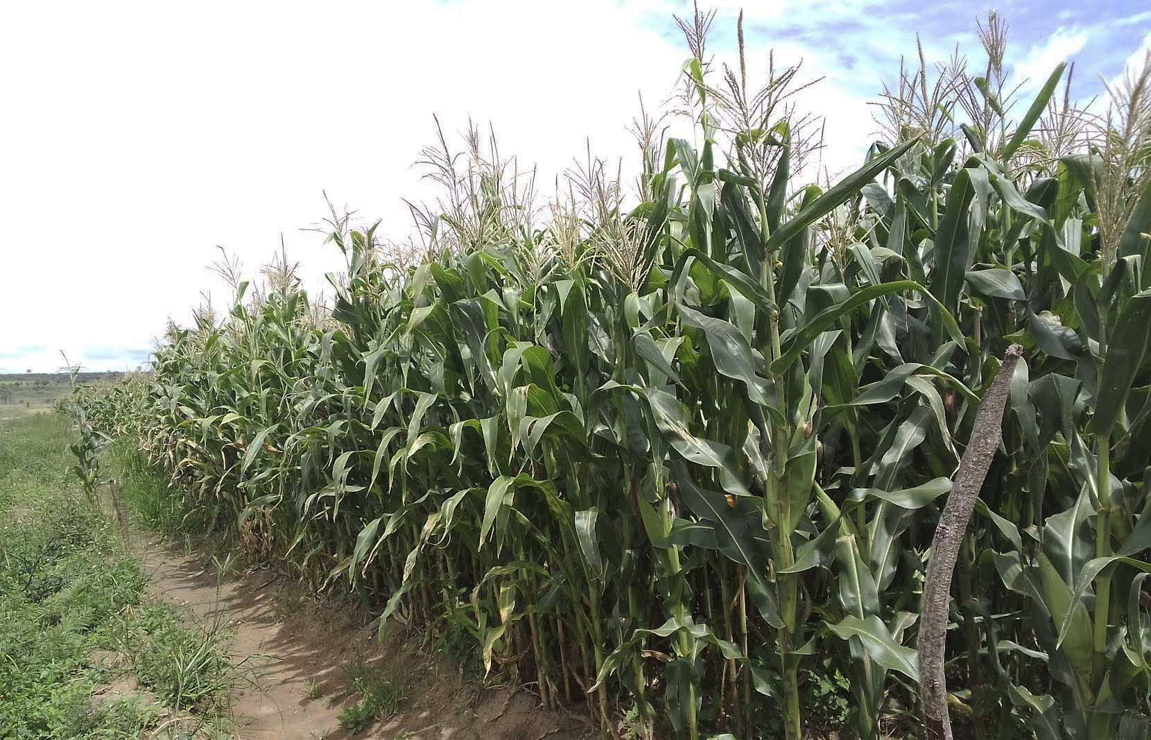 Over 6 300 Farmers Enrol for Packages Over 6 300 Farmers Enrol for Packages