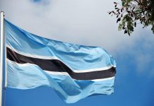 From Dependency to Dignity New Path for Batswana From Dependency to Dignity New Path for Batswana