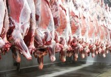 UK Ban Sparks Beef Dispute UK Ban Sparks Beef Dispute